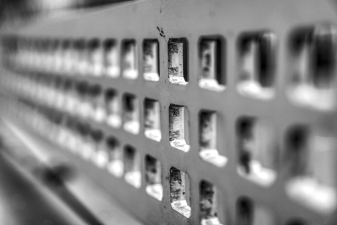 中国女排荣光再现，赛后现场响起科目三的独特庆祝