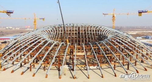 西北鸟巢建筑工艺的研究与应用