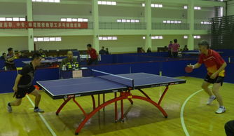 探秘安徽的乒乓球拍建筑一场别开生面的视觉盛宴