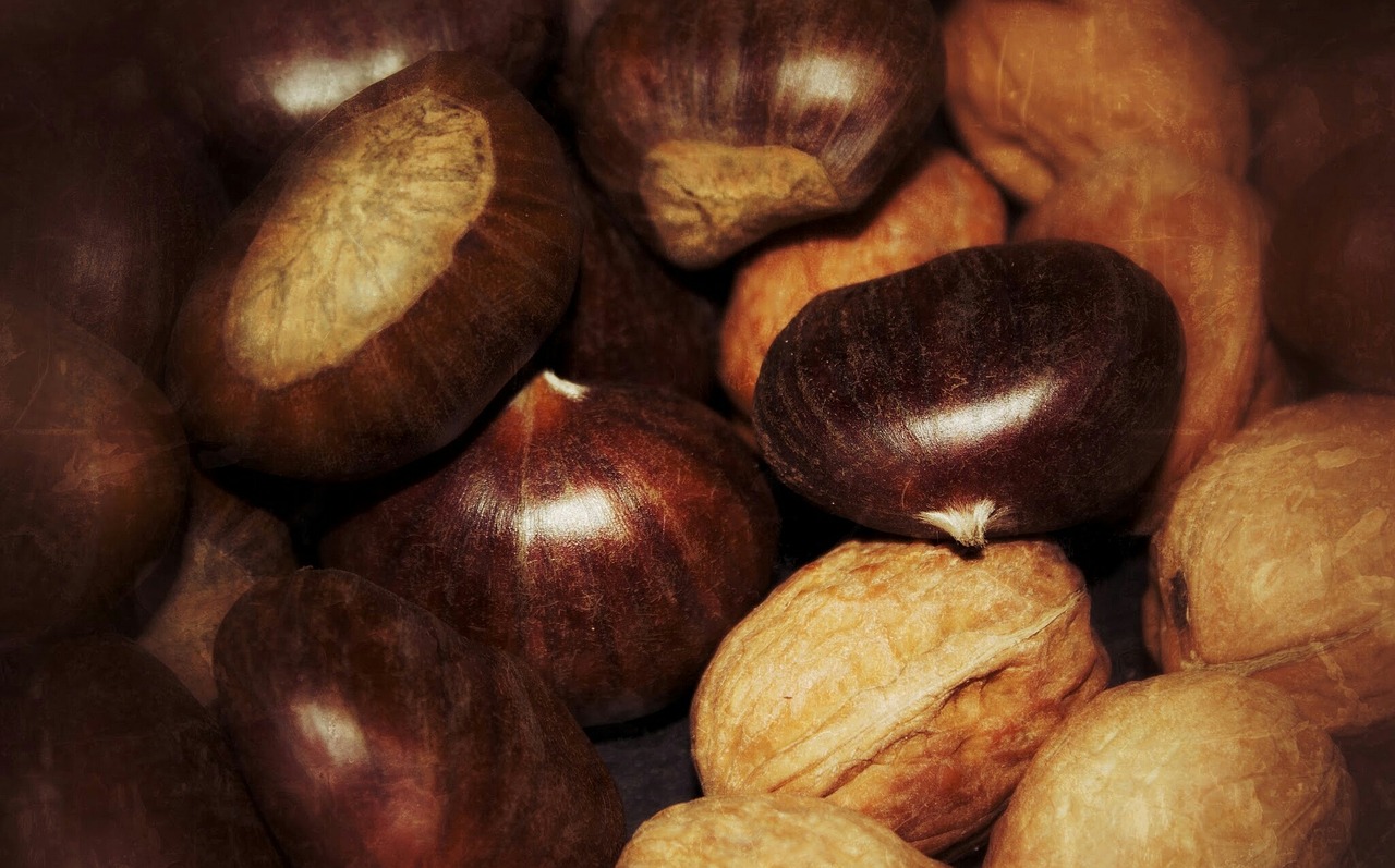 72岁老人吃山竹意外遭遇,被钻出的蝎子咬伤 72岁老人吃山竹意外遭遇,被钻出的蝎子咬伤