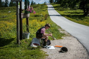 义乌小乌龟生产厂面临巨大压力 义乌小乌龟生产厂面临巨大压力