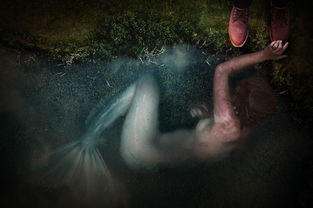 女子遭遇满级杀伤力，榴莲咬脚事件深度解析