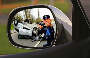 警方通报网红铁头被抓捕，事件详情揭秘