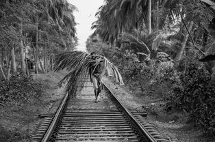 司机妻子谈及碾压骑行男孩事件经过