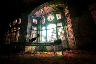 骑行博主意外发现鳌太线一帐篷中遗体，一次惊心动魄的探险之旅