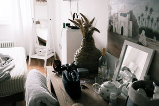 女子购买法拍房遭遇物业拒绝入住困境