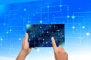 中非共建一带一路启新篇,共谋发展,共创未来 中非共建一带一路启新篇,共谋发展,共创未来