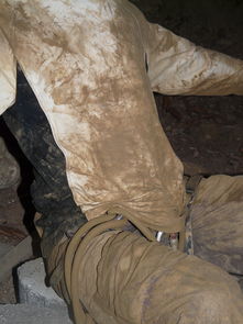 女游客黔灵山遭遇猴群骚扰，一次不愉快的旅行经历