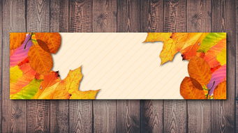 2024年全国赏秋地图出炉,一场秋日盛宴的探索之旅 2024年全国赏秋地图出炉,一场秋日盛宴的探索之旅