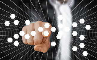 有平台发放数字资产红利?谣言背后的真相与反思 有平台发放数字资产红利?谣言背后的真相与反思