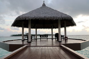 中式绿化景观的特点(新中式风格景观特点是什么)