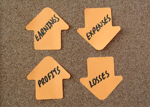 银行账户年检指南，轻松应对，保障财务安全