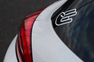 男子连续驾车11个小时带着全家翻车,一场悲剧的警示与反思 男子连续驾车11个小时带着全家翻车,一场悲剧的警示与反思