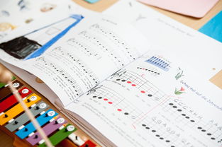 小学二年级体育教学计划 小学二年级体育教学计划