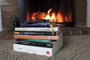 打造温馨家园，暖色调装修的艺术与魅力