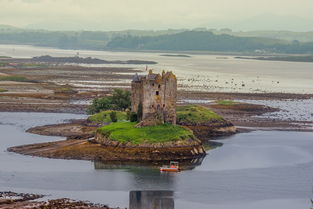 让您的家如同诗中的绿洲——美丽的东方小区