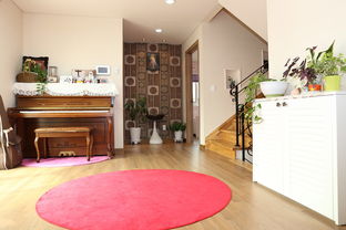 打造梦想中的客厅，家庭客厅装修效果图的创意与实用指南