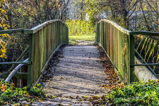 乡村银行，连接农民与金融世界的桥梁