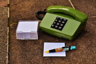 新时代装饰新气象，揭秘支付宝客服电话