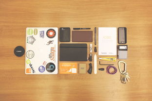 掌控生活，掌握美——探讨美的电烤箱使用技巧