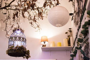 云电视，新时代家居装饰的新风尚