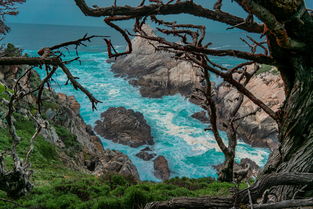 山川名人园，自然之美与文化的交融