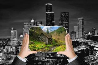 绿洲——梧桐院业主论坛的绿色生活指南