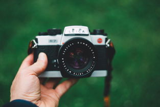 国产相机什么牌子好？选购攻略助你拍出满意的照片