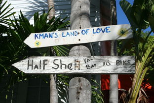 蓉城主场，一场体育盛事的盛宴