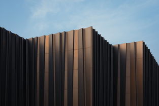 国防部深感诧异强烈不满，国际安全格局下的战略反应与未来展望