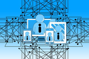 解读企业房屋租赁税率，政策解析与实际影响