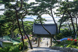 防腐木花架，自然与艺术的完美融合