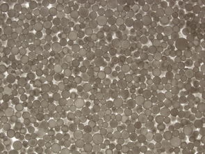 聚苯乙烯保温板,为建筑穿上冬暖夏凉的外衣 聚苯乙烯保温板,为建筑穿上冬暖夏凉的外衣