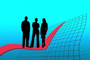 985女生5年十战六级的坚持与胜利