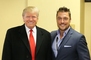 马克龙直接上手拦住特朗普发言,一场国际政治舞台上的即兴戏剧 马克龙直接上手拦住特朗普发言,一场国际政治舞台上的即兴戏剧