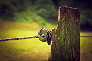 揭开RVV是什么线的神秘面纱