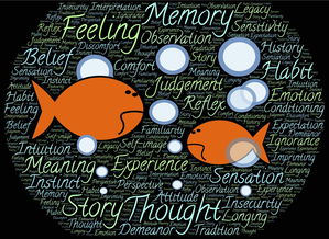 支付宝卡通,安全还是不安全?你需要知道的一切! 支付宝卡通,安全还是不安全?你需要知道的一切!