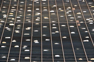 用艺术点亮地面——上海艺术地坪的无限可能