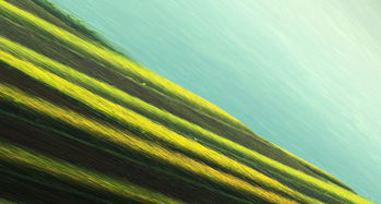 绿色生态与美观结合的现代装潢新选择