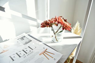 北诗回归 KLG，能否拒绝积分垫底？