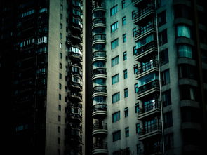 上海新城金郡，装潢达人带你走进精致生活