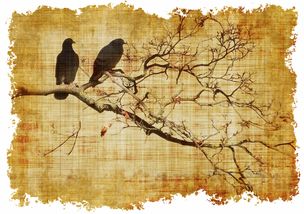 十字绣图案大全，从入门到精通的宝藏资源