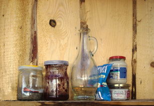 九阳豆浆机做米糊，用家常美味提升生活幸福感