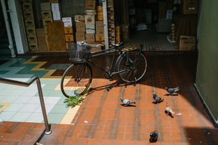 仓储货架的秘密武器，如何让长春仓库井井有条