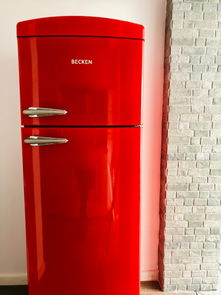 电暖两用热水器,温暖与舒适生活的理想选择 电暖两用热水器,温暖与舒适生活的理想选择