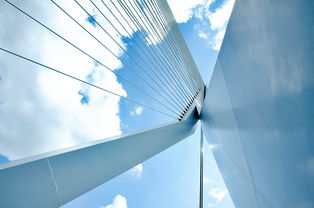 新时代装潢达人，探索装潢设计的未来趋势与实践