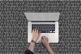 揭秘最佳体重值,科学定义、计算方法及健康建议 揭秘最佳体重值,科学定义、计算方法及健康建议