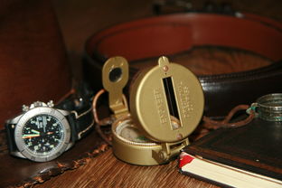 东菱面包机哪款好？选择指南与测评