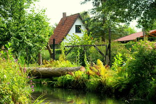 解读景观平面图，让城市与自然和谐共舞的艺术