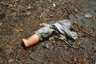 臭虫怎么杀？教你有效灭除小强的全面攻略